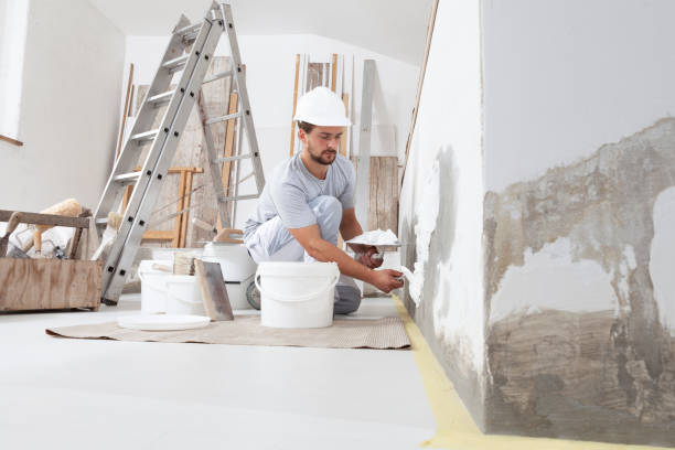 Best Industrial Mold Remediation  in Sand Point, AK