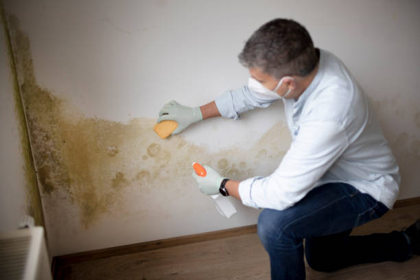 Asbestos and Lead Testing During Mold Inspection in Sand Point, AK