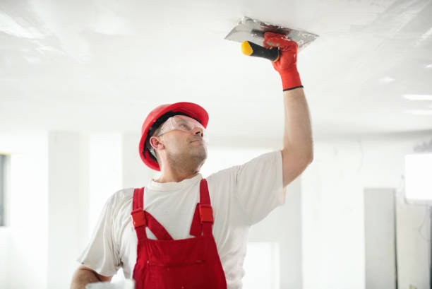 Environmental Consulting for Mold Prevention in Sand Point, AK