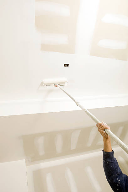 Best Mold Odor Removal Services  in Sand Point, AK