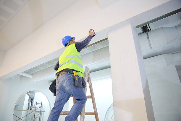 Best Attic Mold Removal  in Sand Point, AK
